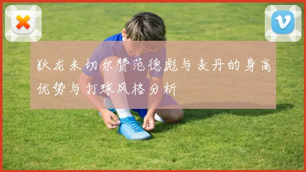 狄龙米切尔赞范德彪与麦丹的身高优势与打球风格分析